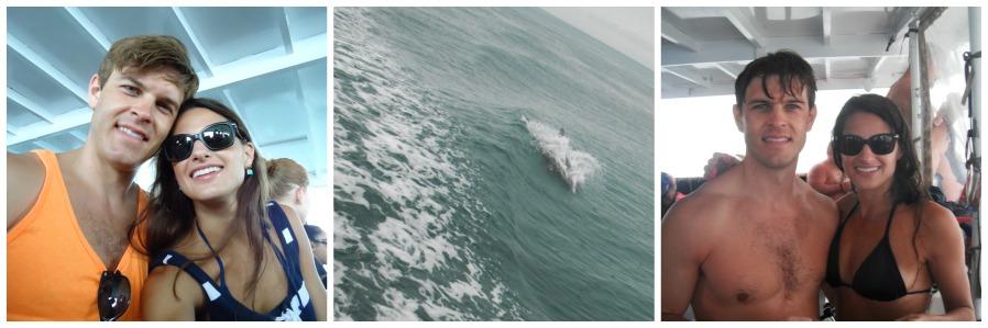 || snorkeling in belize, dolphin in belize || @popfizzclinkLBD